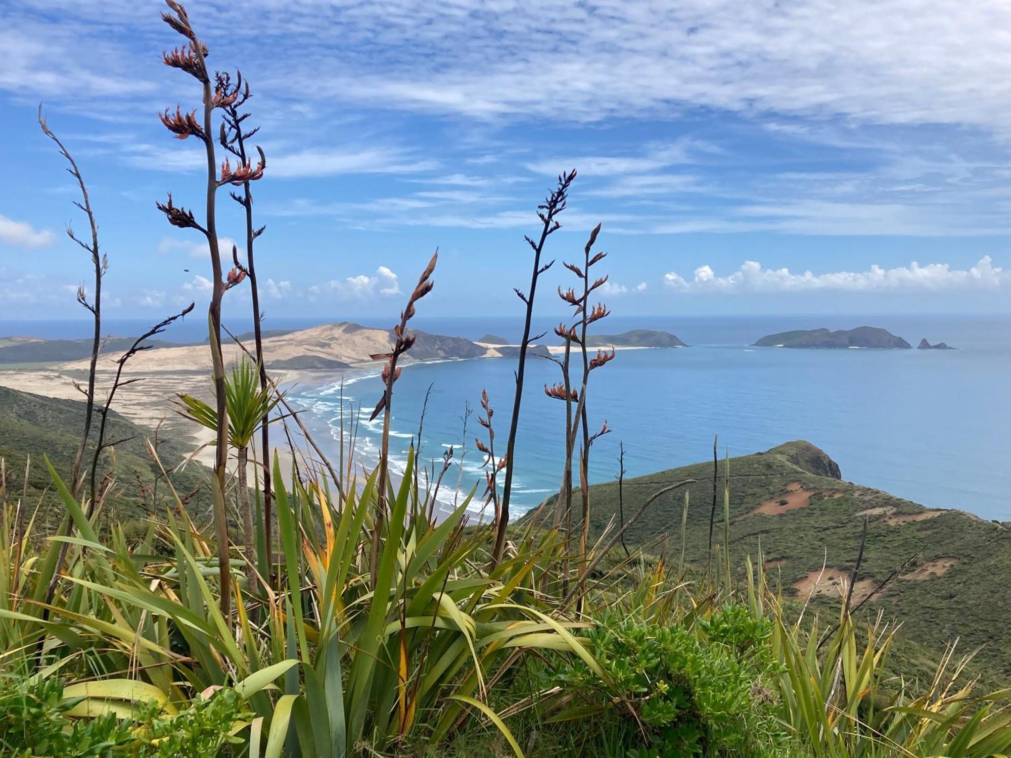 Far North Panorama Kaingaroa Exterior foto